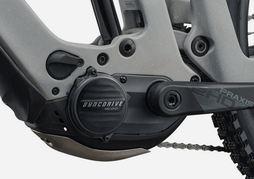 Vélo Giant Reign Advanced E+ 2 2026 - Shop - Bike
