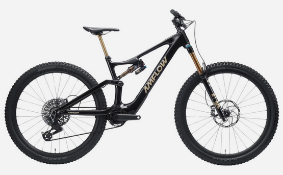 Vélo electrique Amflow PL Carbon Pro 2026
