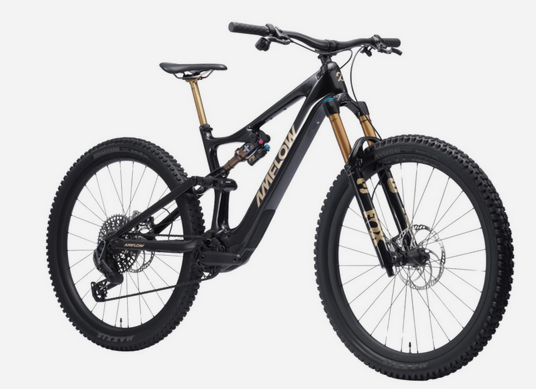 Vélo electrique Amflow PL Carbon Pro 2026