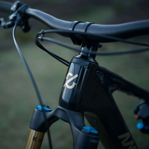 Vélo electrique Amflow PL Carbon Pro 2026