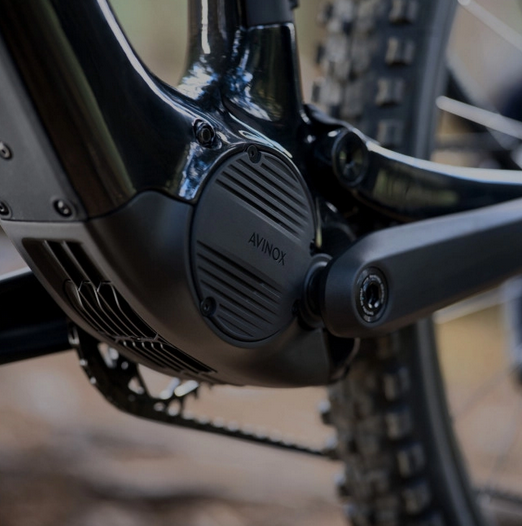 Vélo electrique Amflow PL Carbon Pro 2026