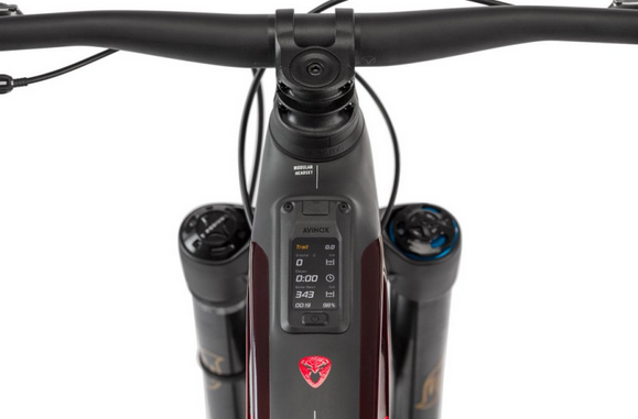 Vtt Electrique Rotwild R.EXC 900 Ultra 2026