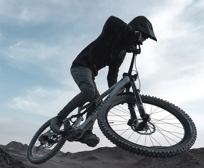 VELO ELECTRIQUE  Amflow PX Carbon Pro - L 2026. M2S