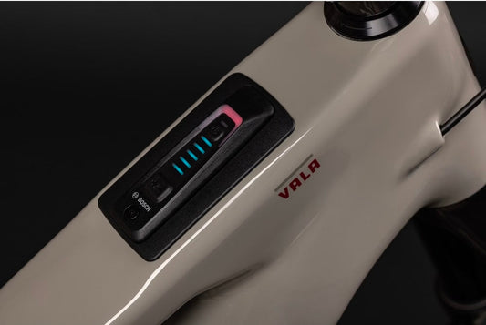 VTT Tout-Suspendu Électrique Santa Cruz Vala Carbone C 12V MX (29/27.5'') Gris Bosch 100 Nm