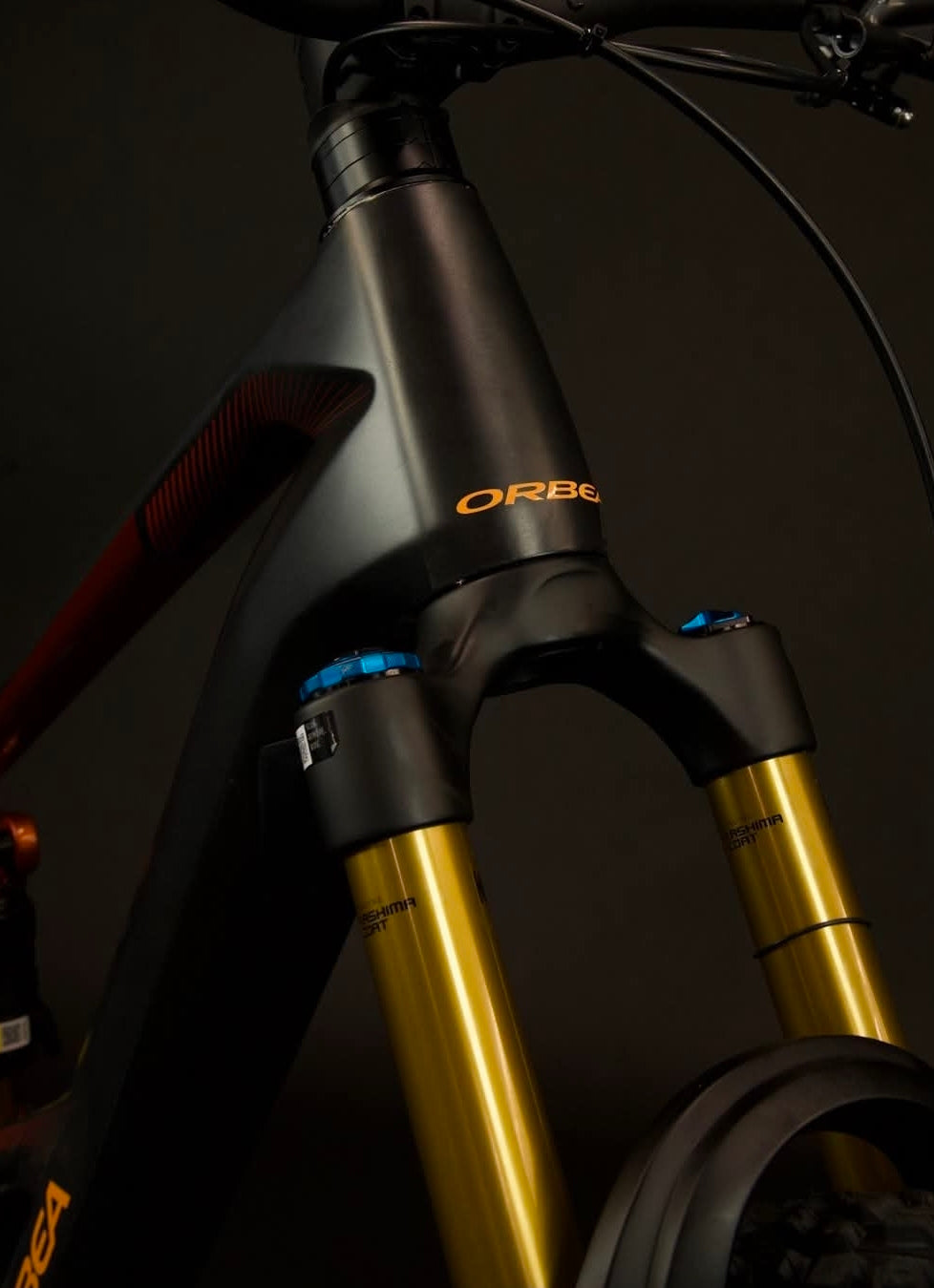 VTT électrique Orbea WILD M-LTD 2026